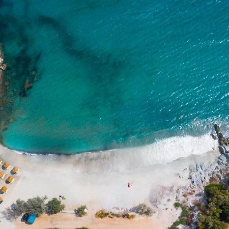 Aegean Beachfront Petriaí 外观 照片
