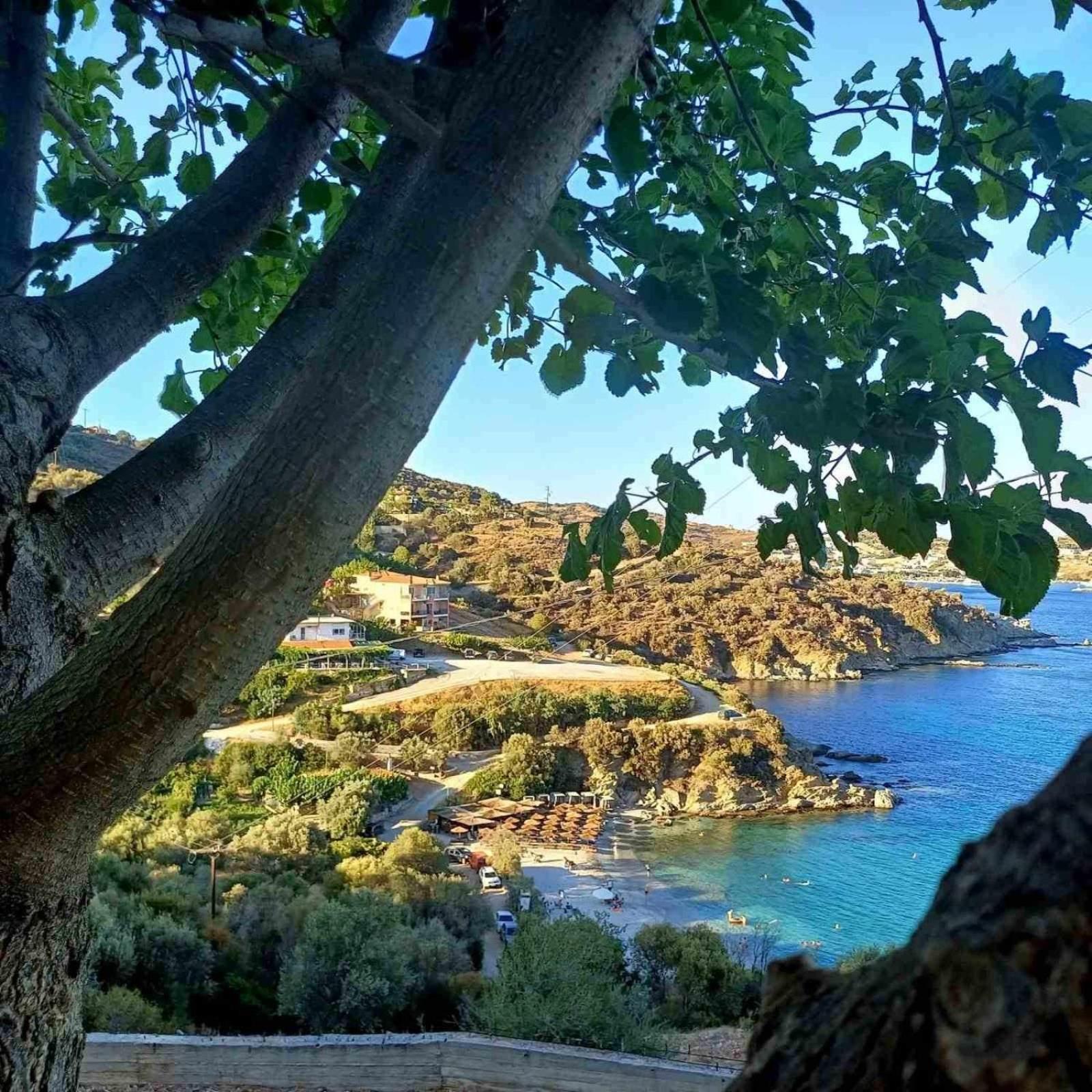 Aegean Beachfront Petriaí 外观 照片